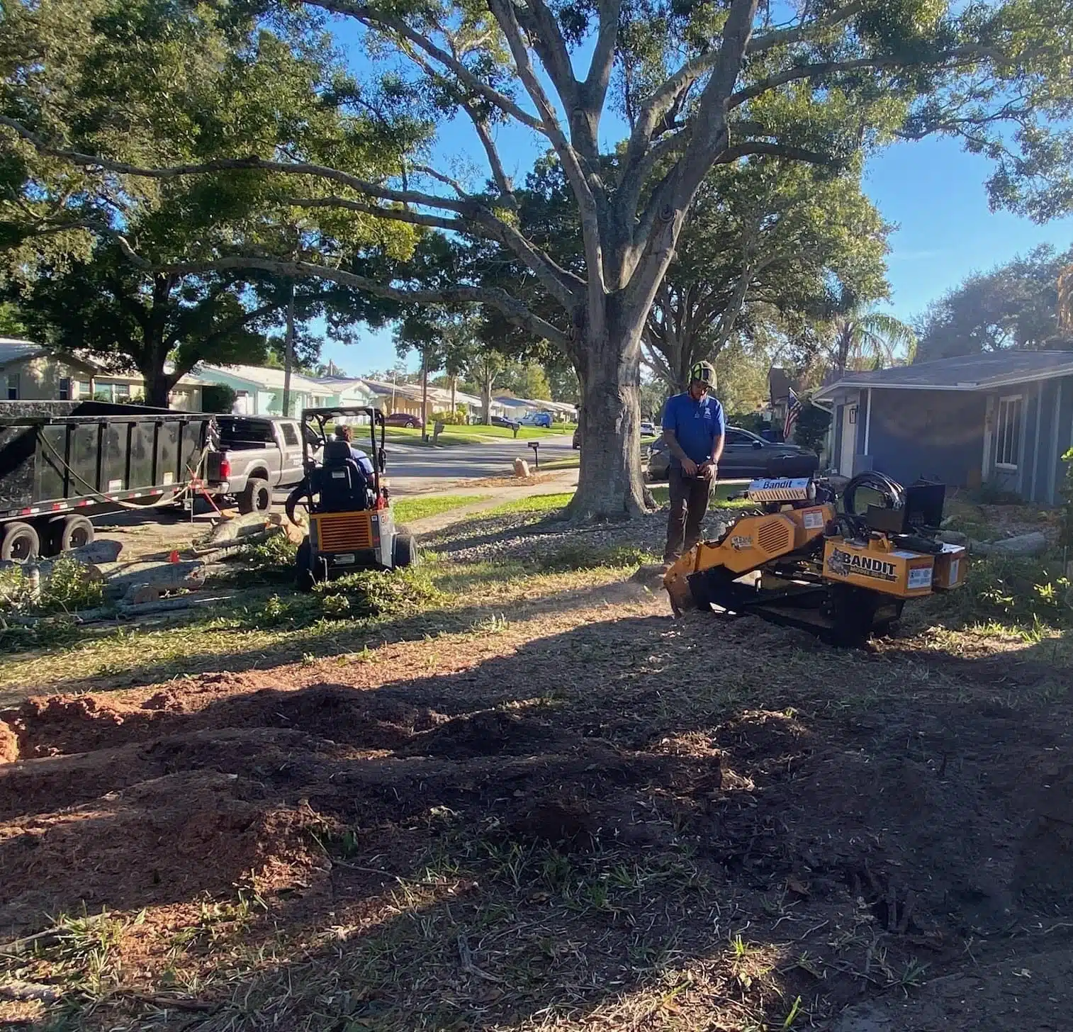 How Tree Services Protect Your Lawn and Property During Tree Work