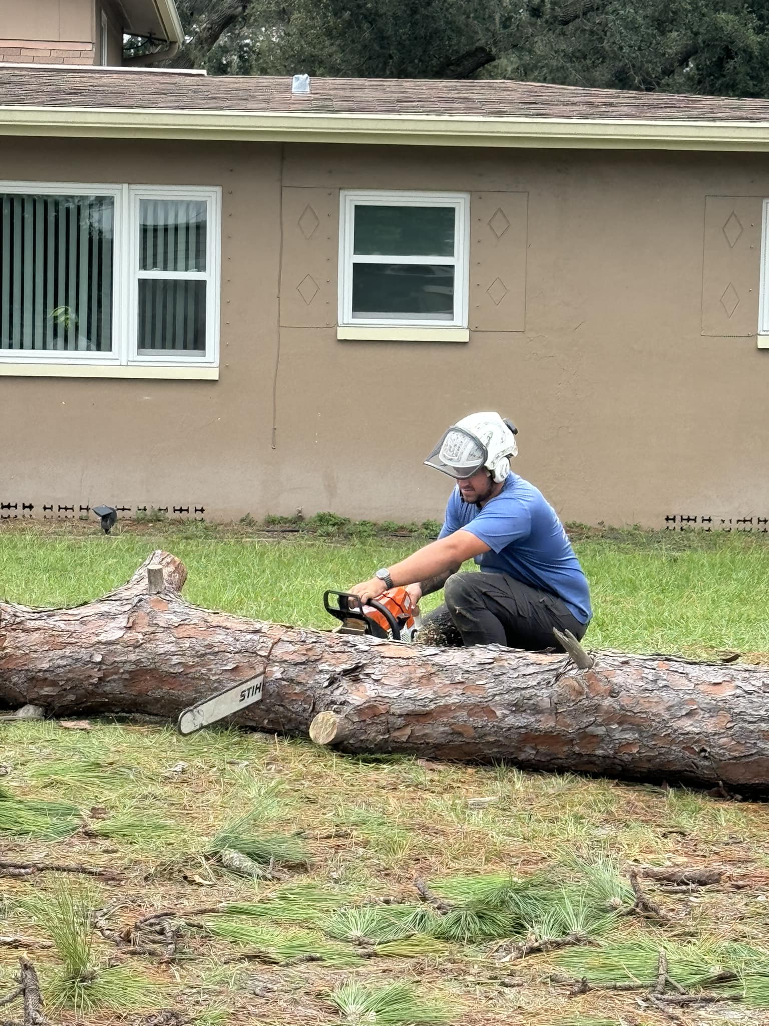 The Hidden Dangers of DIY Tree Removal