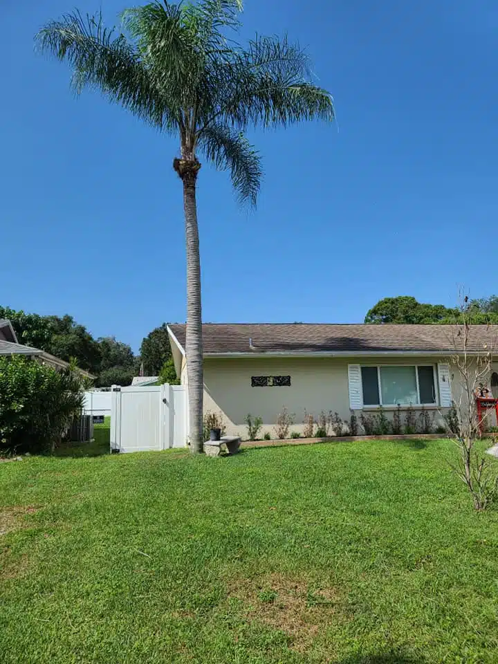 Top Tree Pests in Florida and How to Prevent Infestations