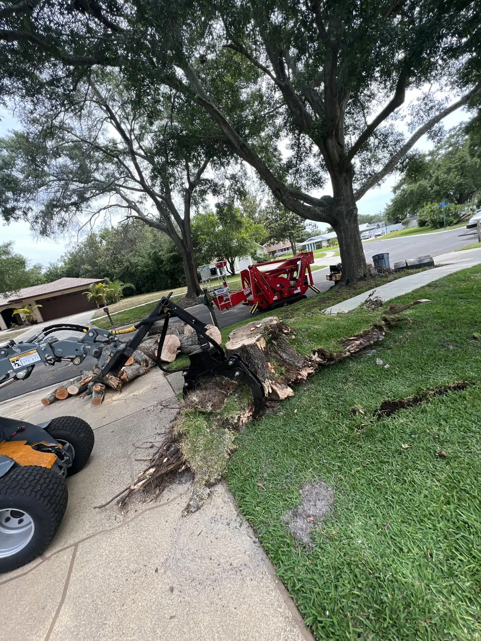 Stump Grinding vs. Stump Removal: Which Is Best for Your Property?