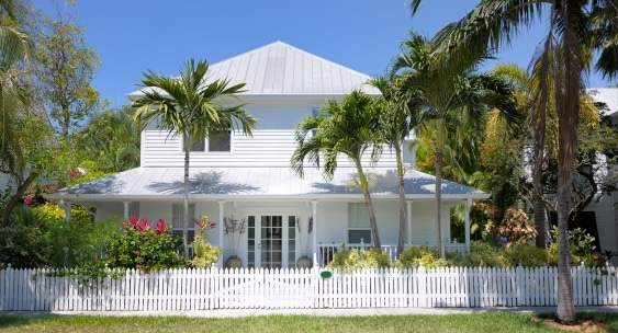 How Professional Tree Care Increases Your Property Value