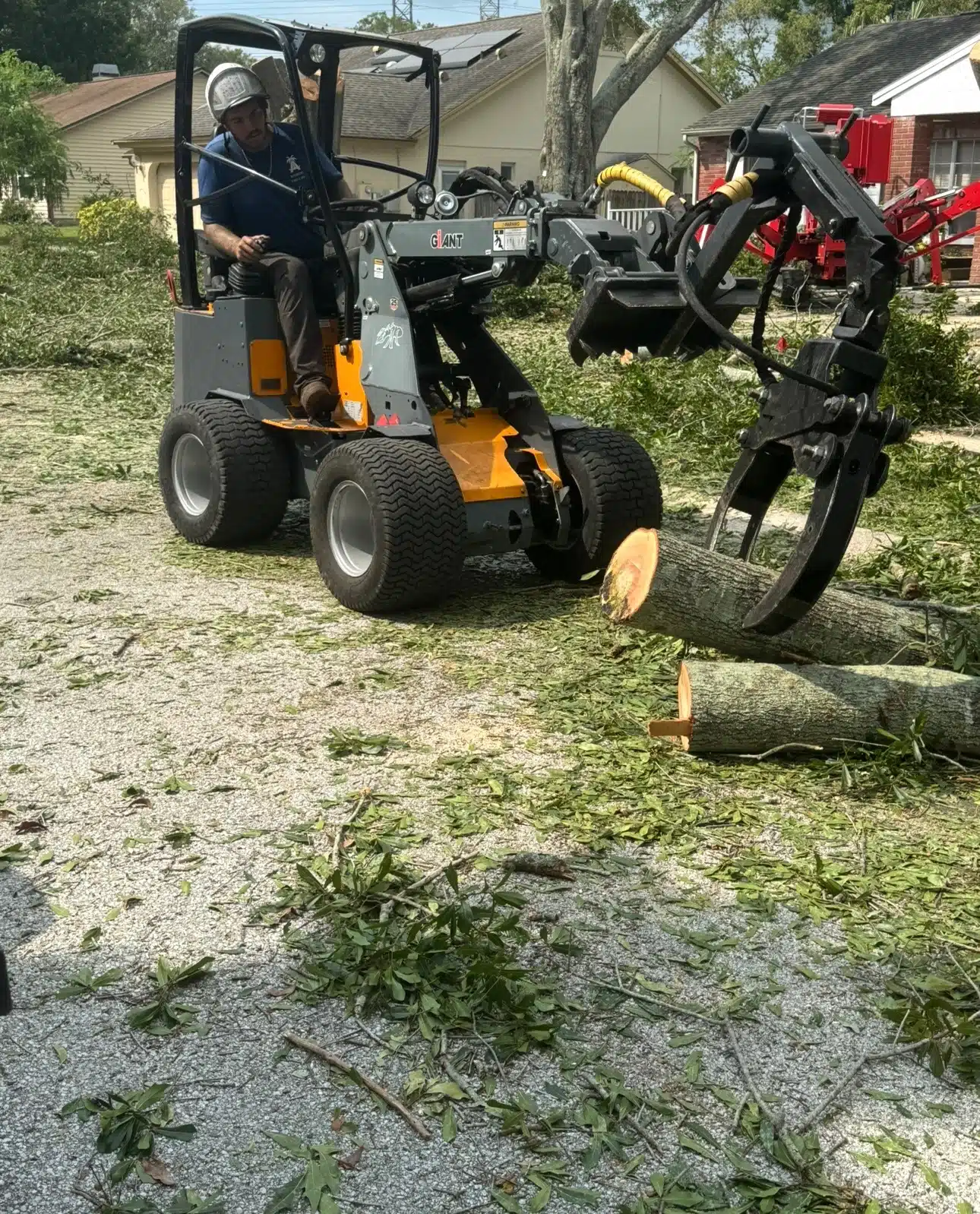 How Much Does Tree Removal Cost in Clearwater, FL?