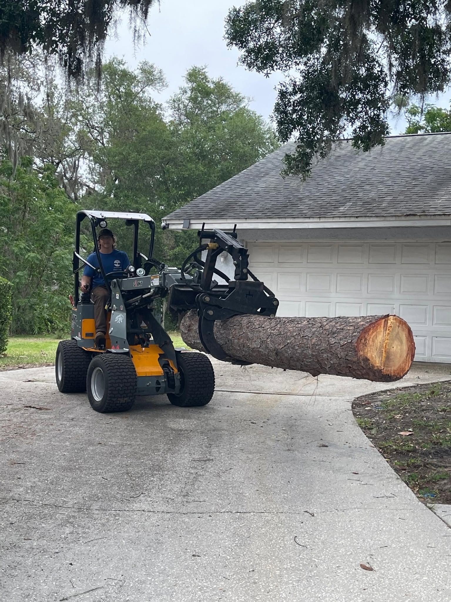 The Tree Removal Process Explained: What Happens From First Call to Final Cleanup