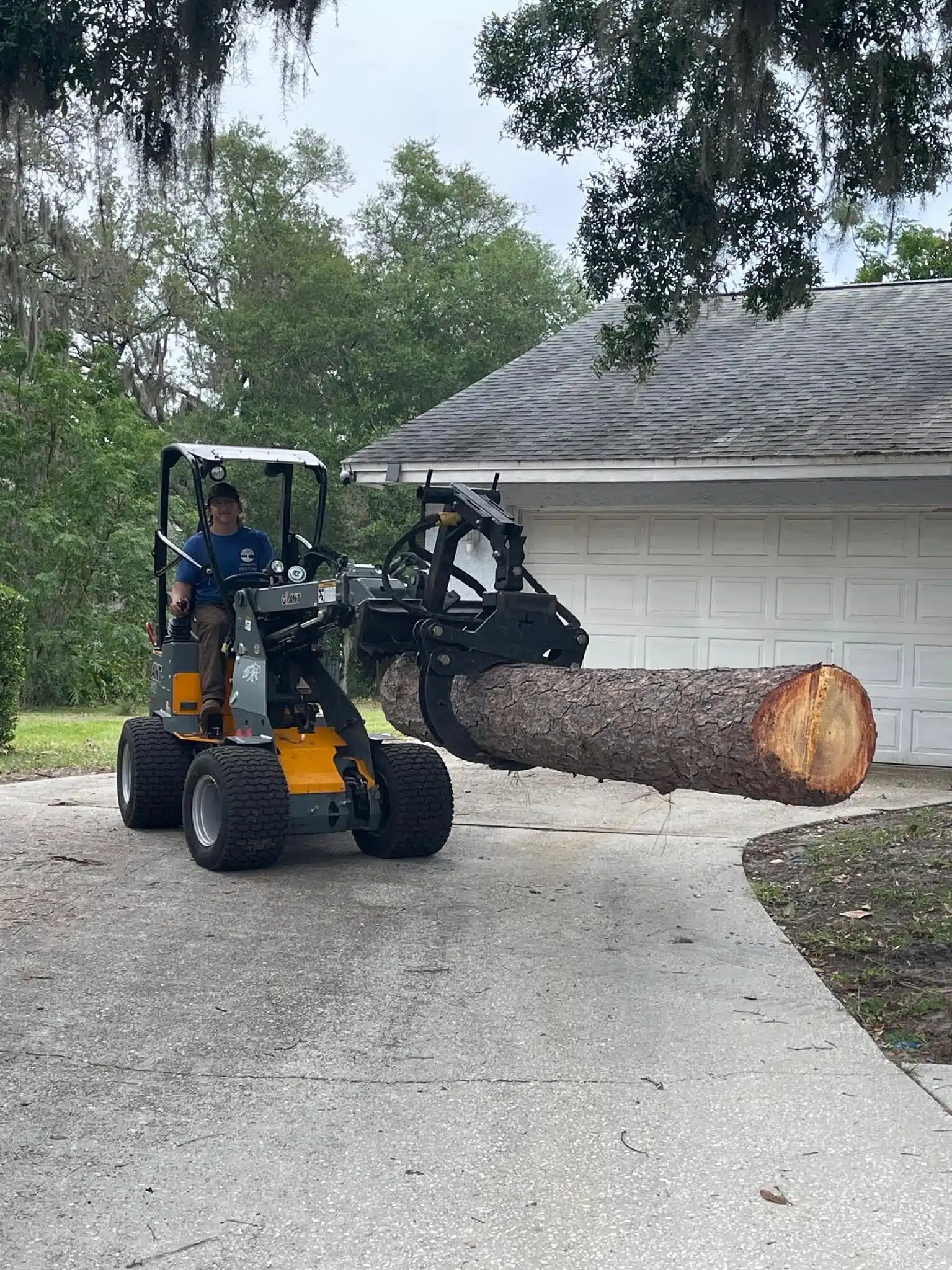 The Tree Removal Process Explained: What Happens From First Call to Final Cleanup