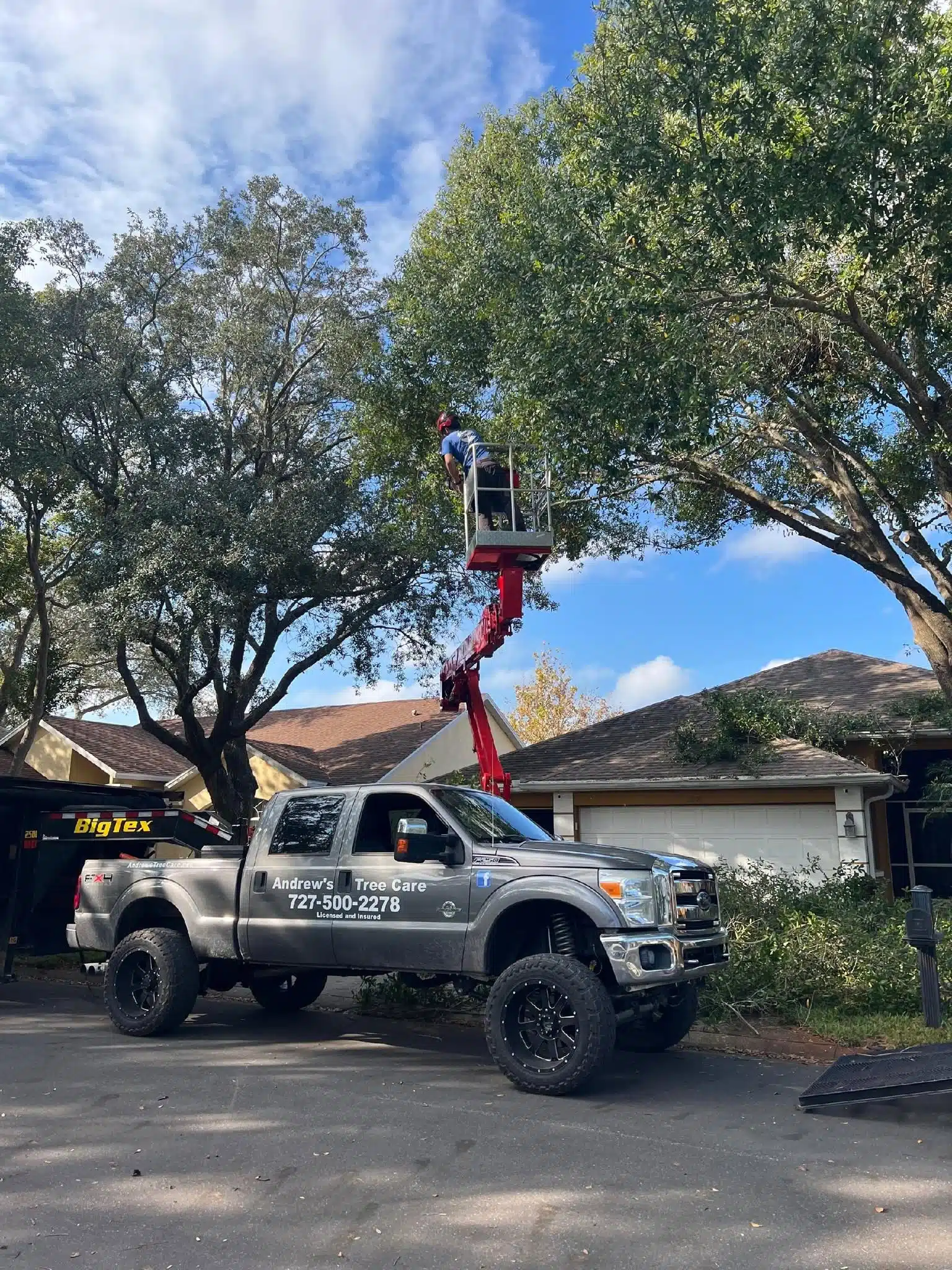 How Much Does Tree Trimming Cost in Clearwater, FL? (2026 Guide)